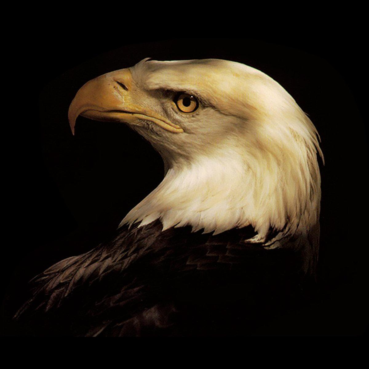 Séculos Apaixonados – O Ministério da Colocação