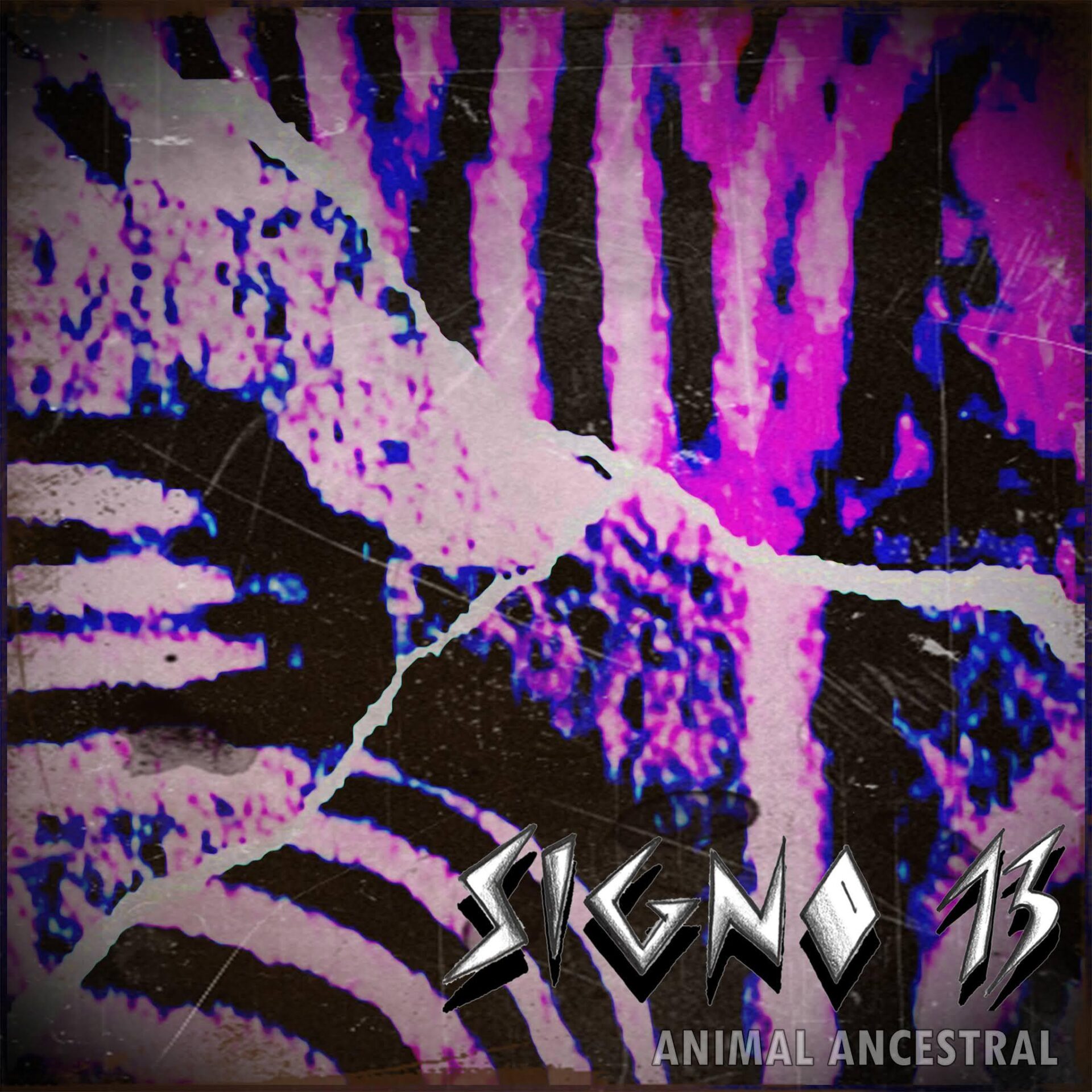 SIGNO 13 – Animal Ancestral