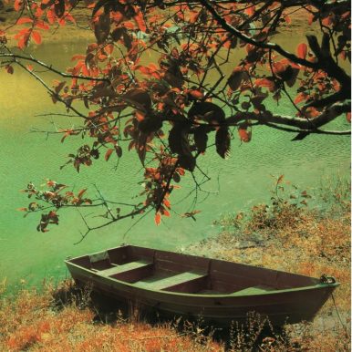 Sin Ayuda – Boat EP