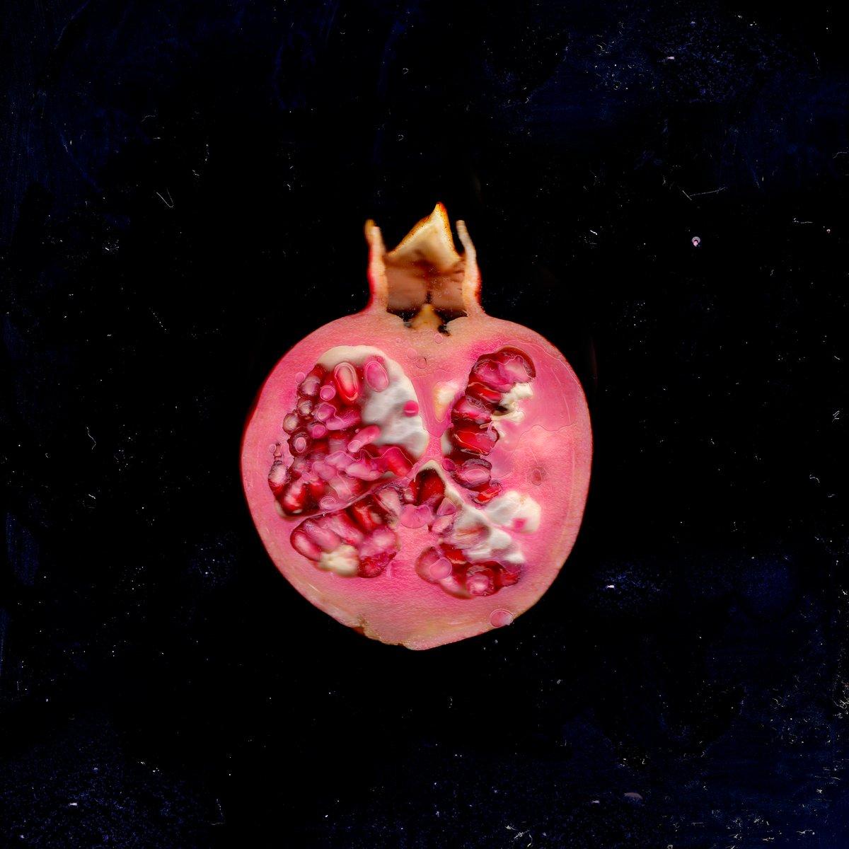 Sofia Freire – Romã