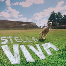 stella-viva – Deus não tem aviões