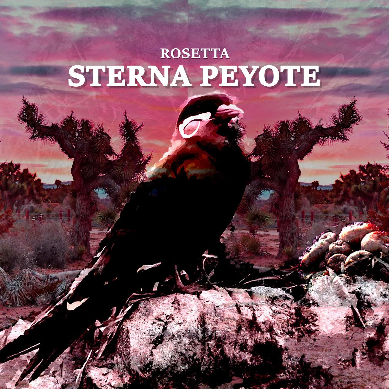 Sterna Peyote – Rosetta