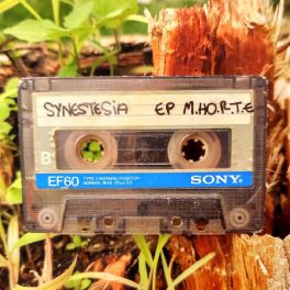 Synestesia – M.HO.R.T.E