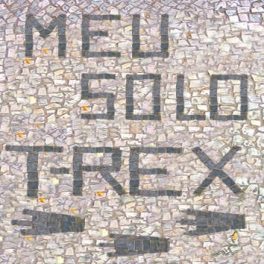 T-Rex – Meu Solo