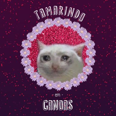 Tamarindo – Ao Vivo em Canoas