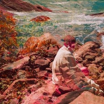 Tartaruga Cúbica – Momori