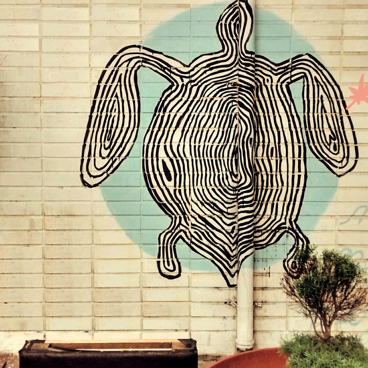 Tartaruga Cúbica – undois