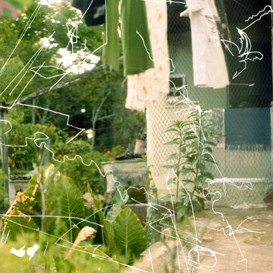 tem mas acabou – Quintal