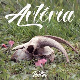 Tentrio – Artéria