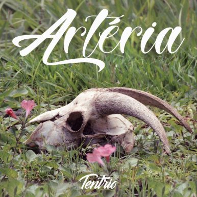 Tentrio – Artéria
