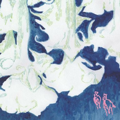 Terraplana – natural