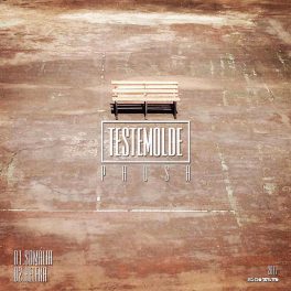 TESTEMOLDE – Pausa EP