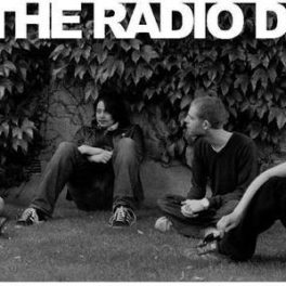 The Radio Dept. – Live at Umea Open, Molme