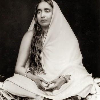 Thiago Miazzo – Volume 2