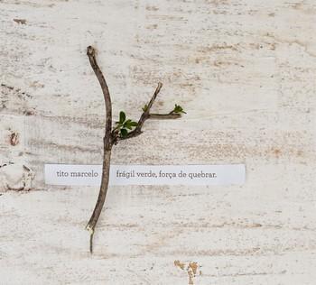 Tito Marcelo – Frágil Verde, Força de Quebrar