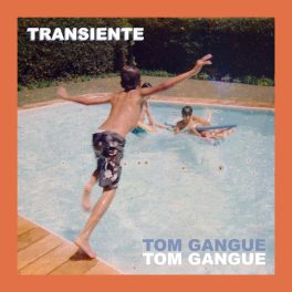 Tom Gangue – Transiente