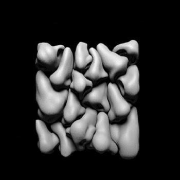 Topsyturvy – Noises Parte 2