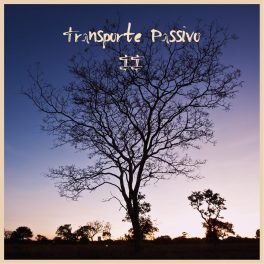 Transporte Passivo – II