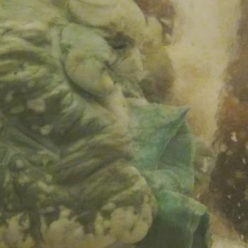 Traummaterial – Traummaterial