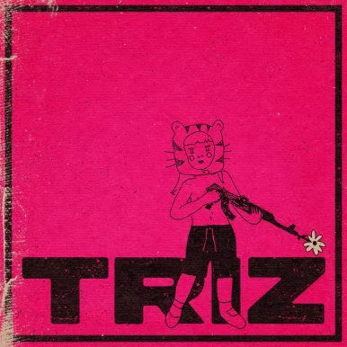 Triz – TRIZ