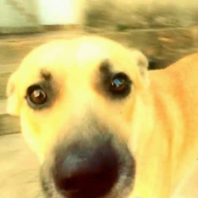 Twelve Street – Almost Twelve