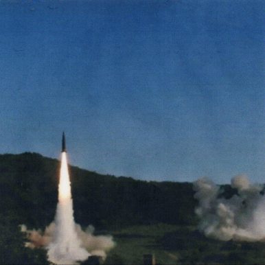 twikipedia – for the rest of your life