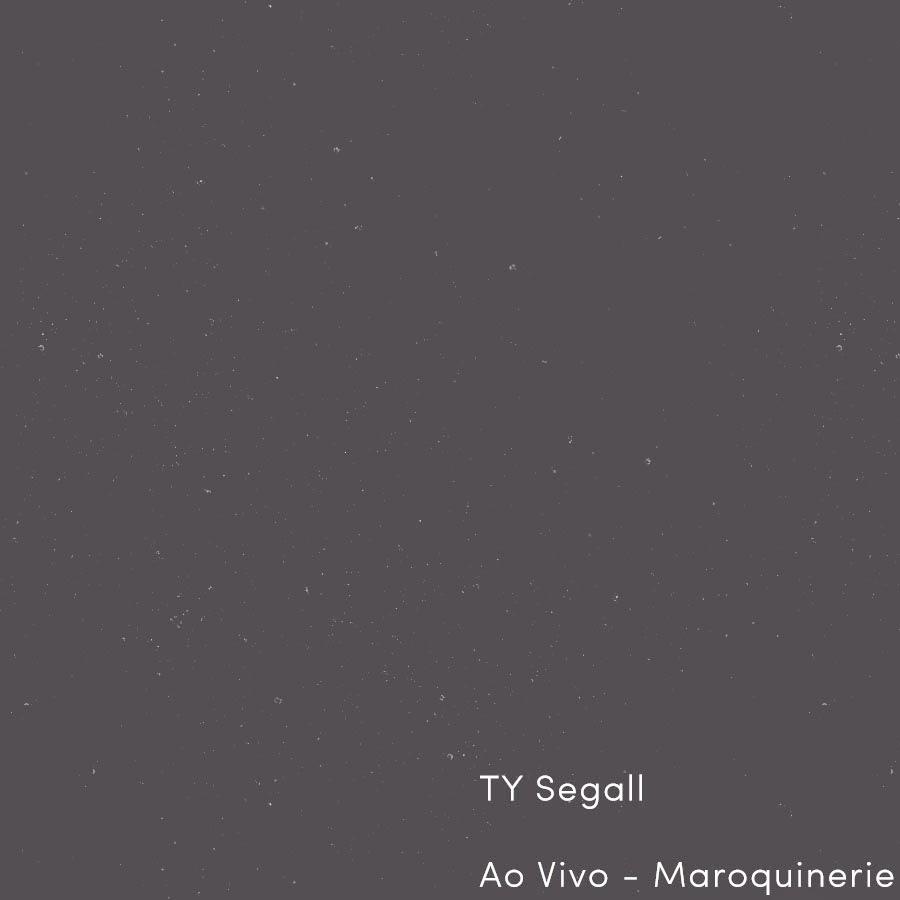 Ty Segall – Ao Vivo – Maroquinerie