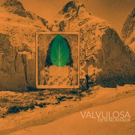 Valvulosa – Desencaixada