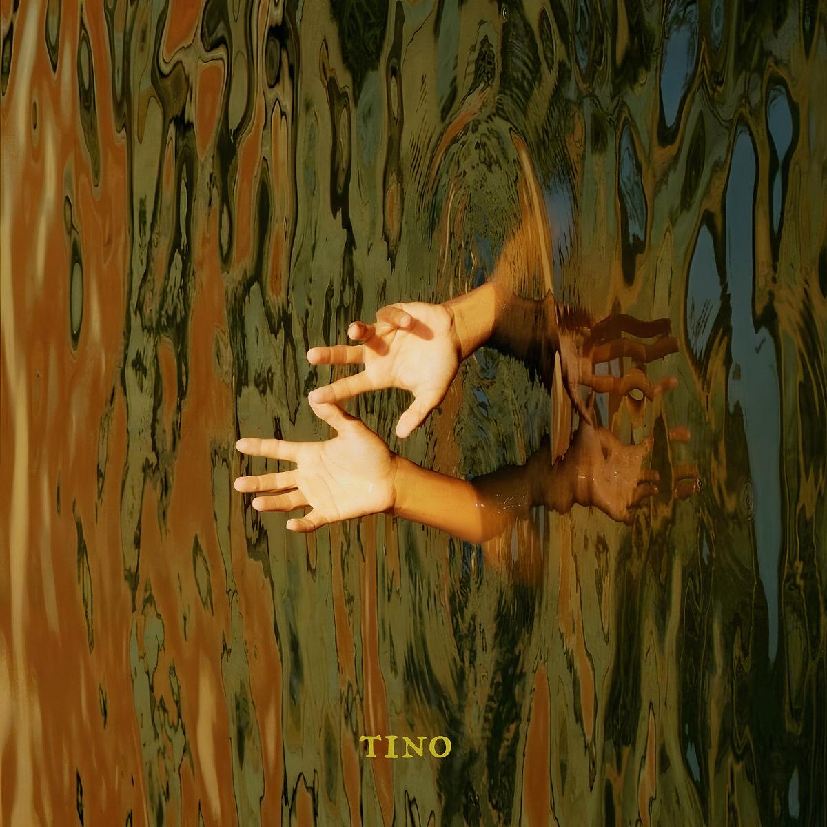 Valvulosa – Tino