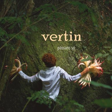 Vertin – Passaro Só