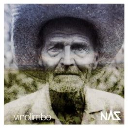Vinolimbo – I Never Stepped On The Cracks ‘cause I Thought I’d Hurt My Mother