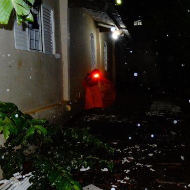 Vitor Brauer – BR Garage