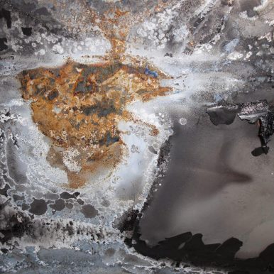 Vitor Brauer – O Extraordinário Voo do Perdiz