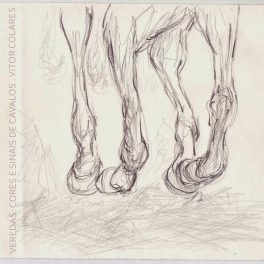 Vitor Colares – Veredas: Cores e Sinais de Cavalos