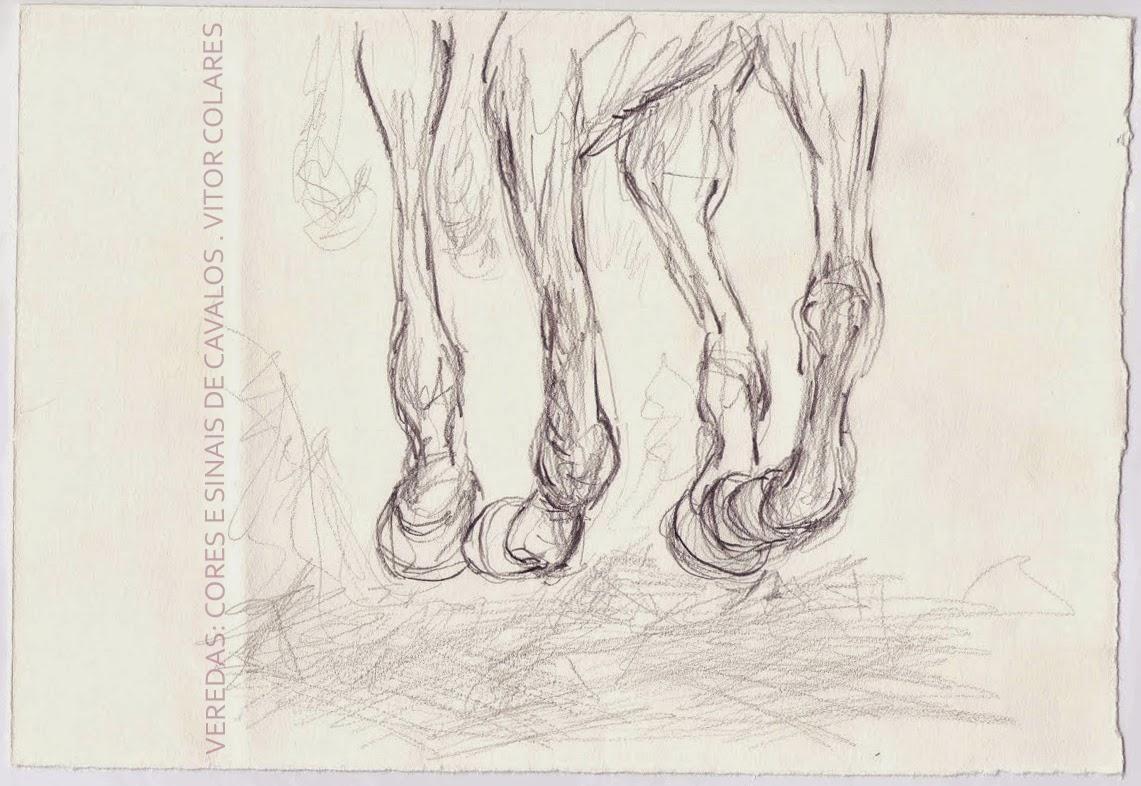 Vitor Colares – Veredas: Cores e Sinais de Cavalos
