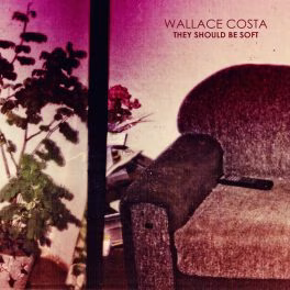 Wallace Costa – They Should be Soft