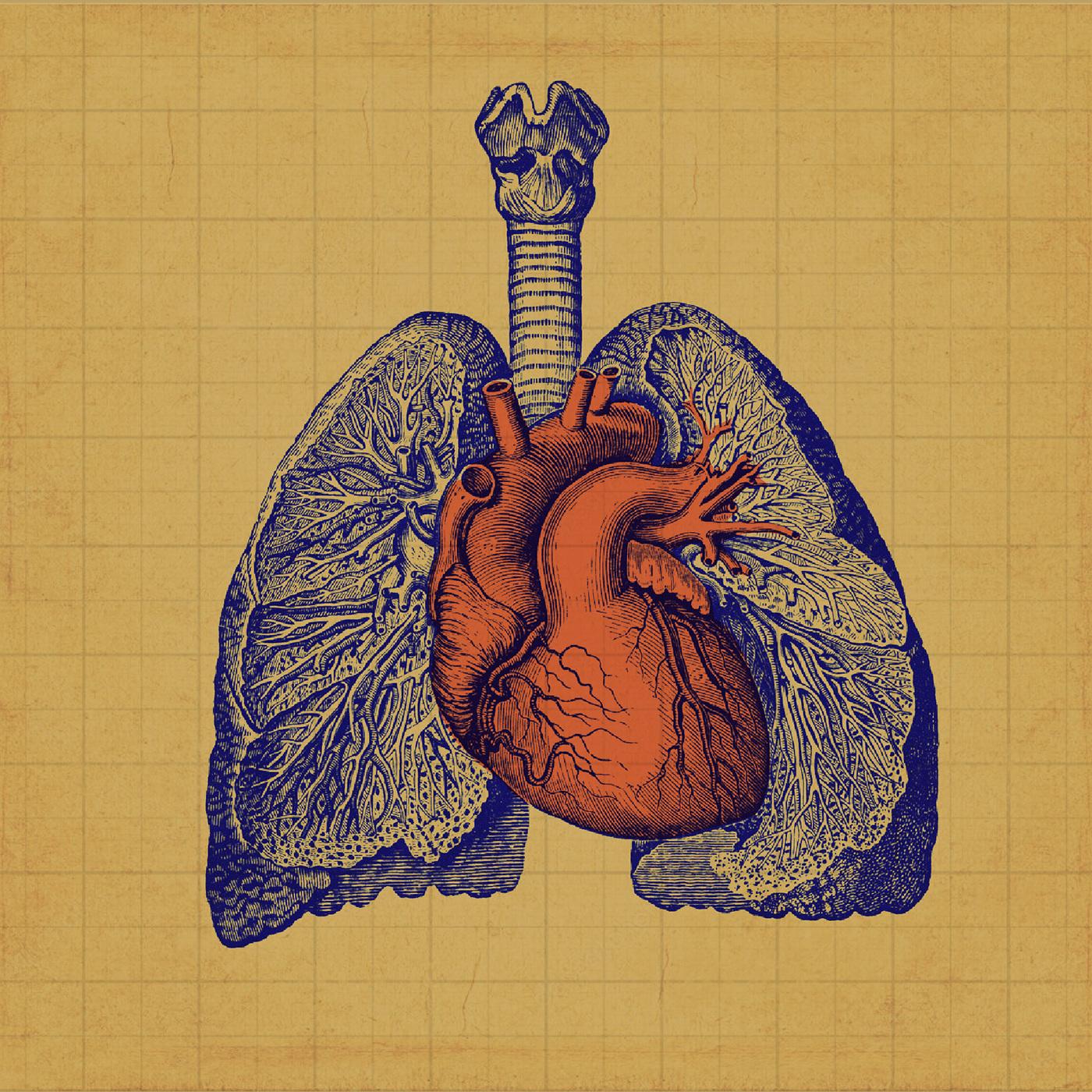 Zudizilla & Kiai – JazzKilla