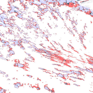 marimbondo – PITANGA