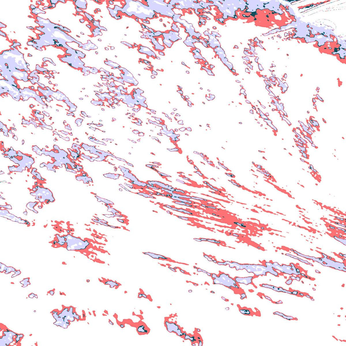 marimbondo – PITANGA
