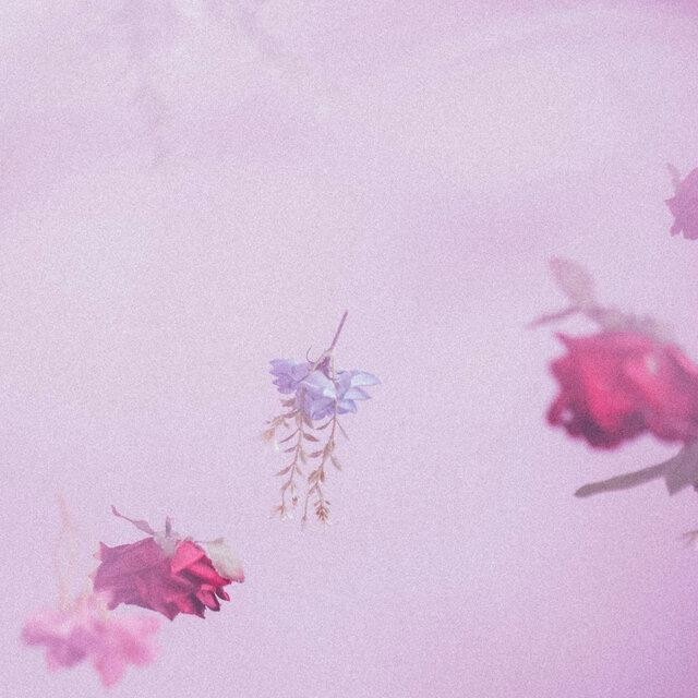 Pink Opala – Flores Vivas