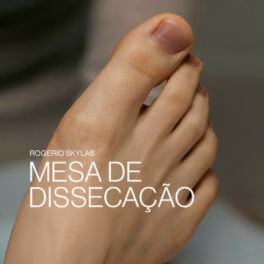 Rogério Skylab – Mesa de Dissecação