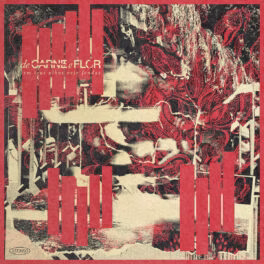 De Carne e Flor – Em Teus Olhos Vejo Fendas