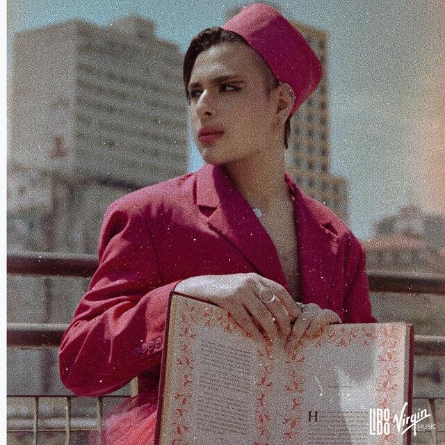 DIMAS – inferno de verão .