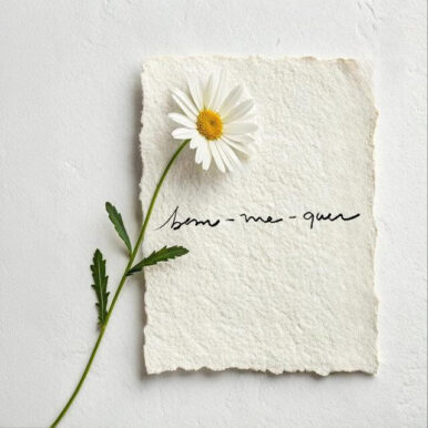 AERO – Bem-Me-Quer