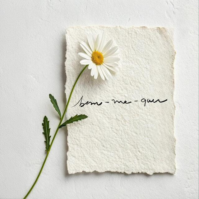 AERO – Bem-Me-Quer