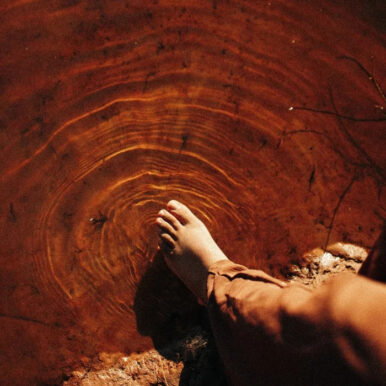 Josie – Sensações