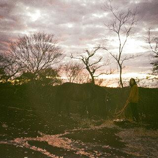 Dezert Horse – DEZERT HORSE