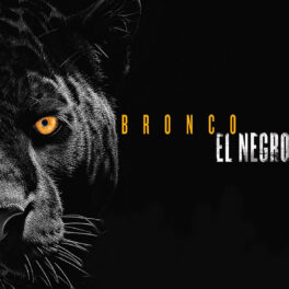 El Negro – Bronco