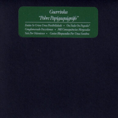 Guerrinha – Pobre Papigaquígrafo