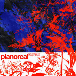planoreal – Mérito